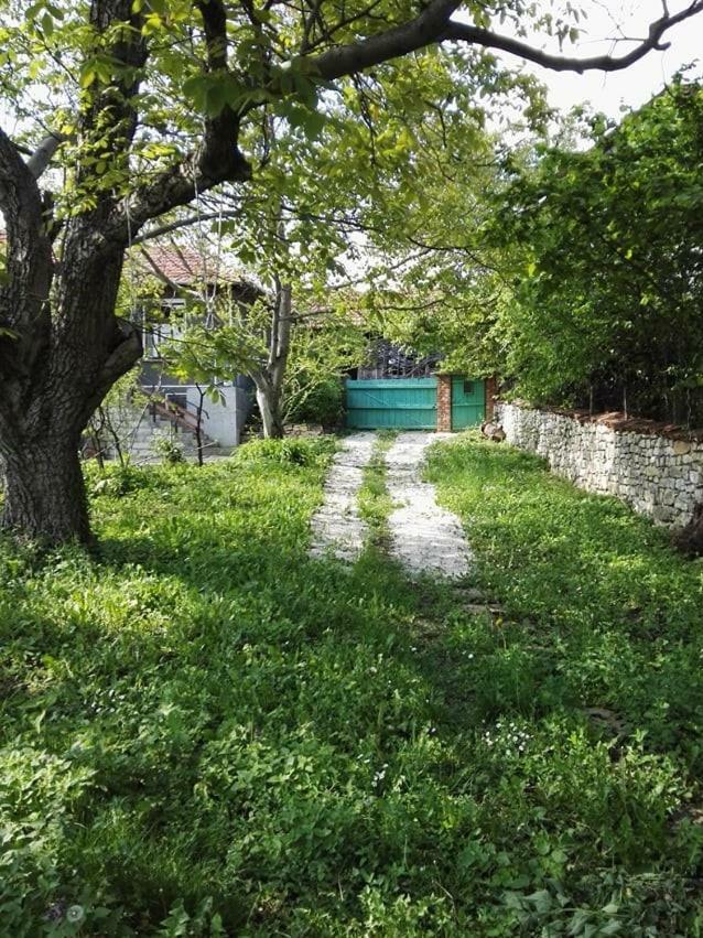BeeFree Villa Gorsko Slivovo Buitenkant foto